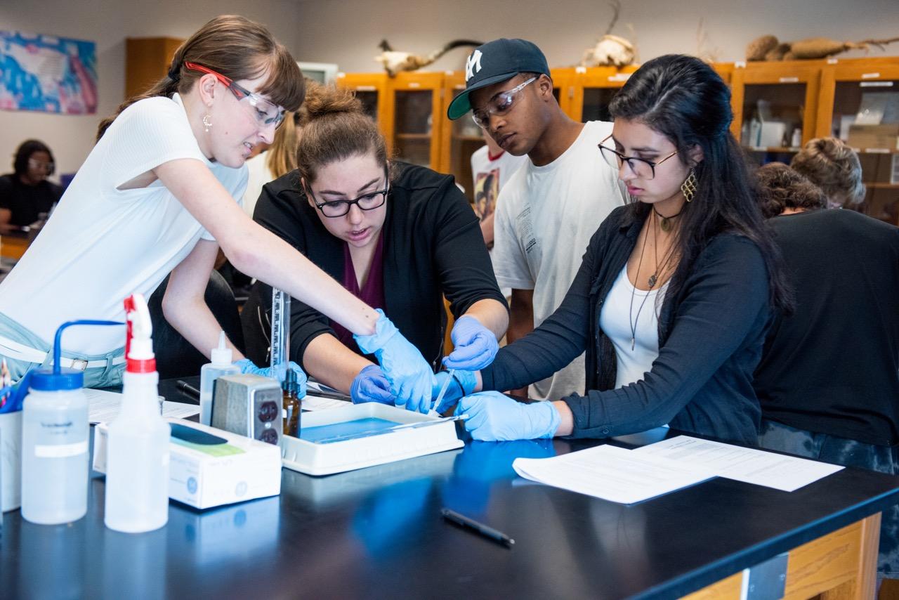 三个学生和一个老师在科学实验室里做实验.